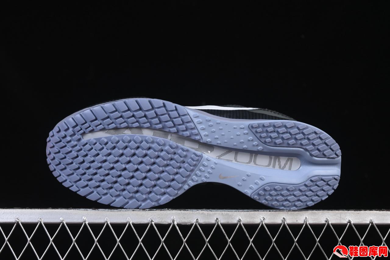 Nike Air Zoom Pegasus Premium 全掌气垫跑鞋：革新缓震科技，畅享流畅奔跑体验