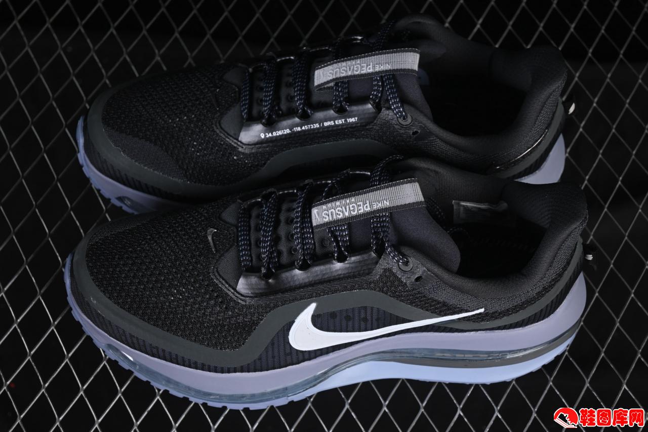 Nike Air Zoom Pegasus Premium 全掌气垫跑鞋：革新缓震科技，畅享流畅奔跑体验